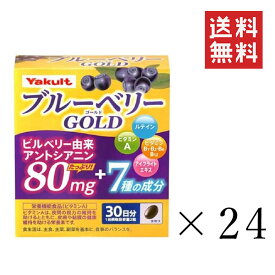 【クーポン配布中】 ヤクルトヘルスフーズ ブルーベリーゴールド(450mg×60粒)×24箱セット まとめ買い サプリ ビタミンA