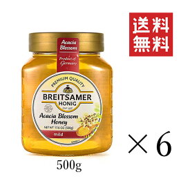 ブライトザマー アカシアハニー 500g×6個セット まとめ買い 蜂蜜 ハチミツ