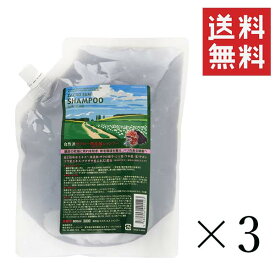 【即納】サニープレイス ザクロ精炭酸 シャンプー 800ml×3個セット まとめ買い 詰替 大容量 リフィル 頭皮 スカルプケア ハイグレード 自然派