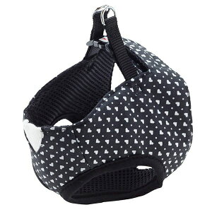 y2ZbgzyeBIARFashionn[ghbgxXgn[lXSSubN