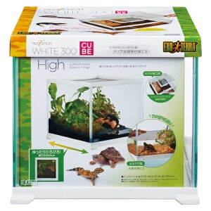 WFbNX veAzCg300CUBE High ঒ P[W