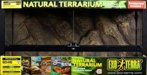 WFbNX OXeE 9045 PT2613 ঒ P[W