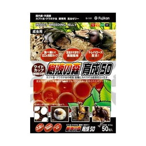 y12ZbgztWR ChJbv@t̐X@琬5050