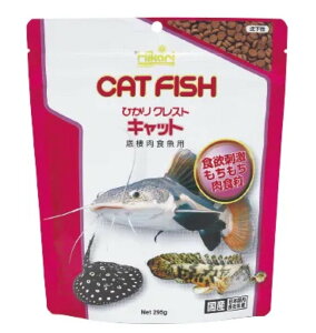 �y5�Z�b�g�z �L���[�����@�Ђ���N���X�g �L���b�g 295g