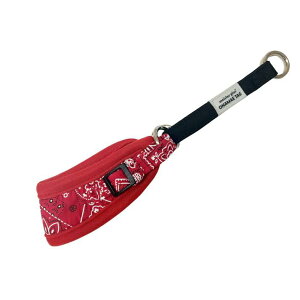 JmY }CX^[vX͂߂Ă̂փo_iSbh