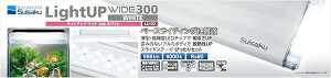  CgAbv WIDE 300 zCg