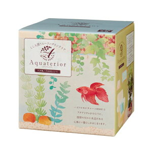 y2Zbgz  ANAeA x^p P150S