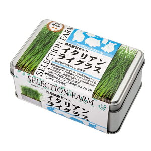 y6ZbgzC[X^[ ZNVt@[q͔|ZbgC^ACOX1