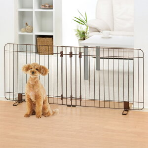 b`F LkX^hȈՃybgQ[g90-120uE