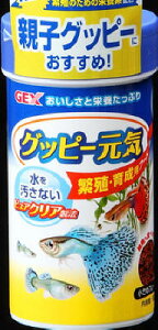 y36ZbgzWFbNX Obs[C voCI ɐBE琬pt[h 52g