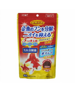 y3ZbgzWFbNX WFbNXCvoCIt[hFg220g