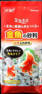 WFbNX y10ZbgzWFbNX̍i`~bNXܐF1kg