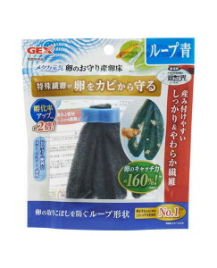 y2ZbgzWFbNX_JĈY[v