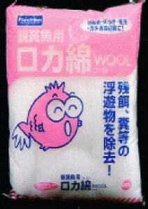 y3Zbgz WFbNX E[  100g