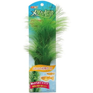 y2ZbgzWFbNX WFbNX_JiӂӂYM