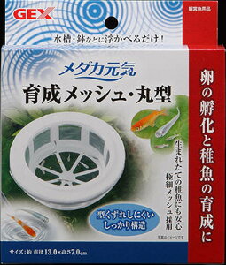 y6ZbgzWFbNX_JC琬bVی^