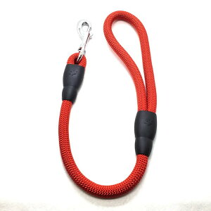 LEADOG ۃV[g[h 12 AJ