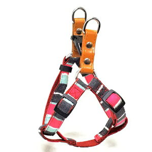 y2Zbgz[hbN LEADOG pXe{[_[J^n[lXSS~g