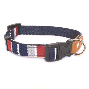 LEADOG pXe{[_[ ^b`J[ M lCr[