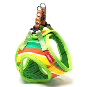 LEADOGpXe{[_[\tgn[lXSO[