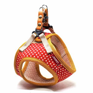 [hbN LEADOGv`n[g\tgn[lXSMbh