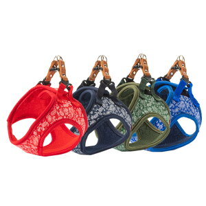 LEADOGyCY[\tgn[lXSMu[