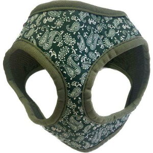 [hbO [hbO LEADOGyCY[\tgn[lXSO[