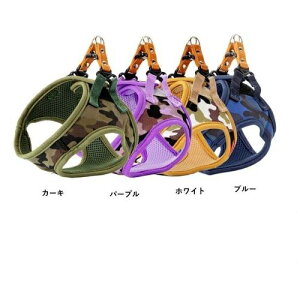 LEADOGʃ\tgn[lXSSJ[L