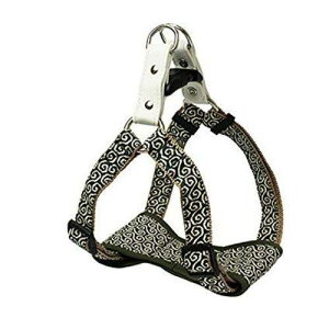 [hbO LEADOG J^\tgn[lX L I[u