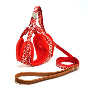 y2Zbgz[hbO LEADOGLbgn[lX[hSbh