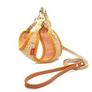 y2Zbgz[hbN LEADOGLbgn[lX[hSCG[