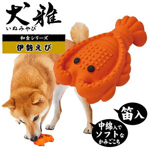 yeBI y2ZbgzyeBI PETIOpipጢaHebNXɐ