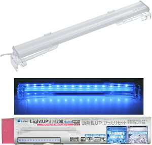 y3Zbgz  CgAbv SLIM } 300 zCg