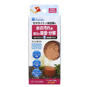  y12Zbgz  [IubNS[ۃvX