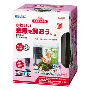 y6Zbgz  gANAE  {6_Zbg