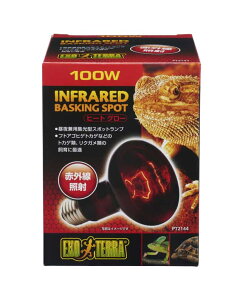 y6Zbgz WFbNX q[gO[ԊOƎ˃X|bgvPT2144 100W