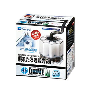 ���� �y6�Z�b�g�z ����G�C�g �h���C�uM