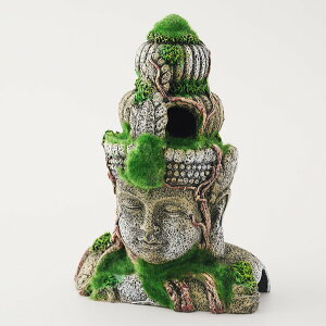 y6Zbgz ybgCu[ aquaneru ANAEI[ig ^C̐Α