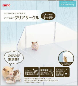 y12ZbgzWFbNXCAƕ WFbNXn[j[NAT[N