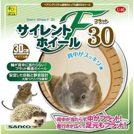 三晃商会 サイレントホイール　フラット30