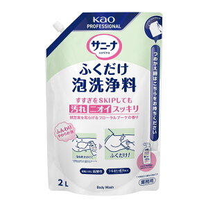 [�P�[�X�̔�]�ԉ� �T�j�[�i �ӂ������A��� �Ɩ��p 2L×6