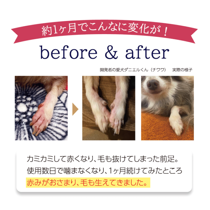 AT PET フコロジーエッセンス 犬用保湿ケア