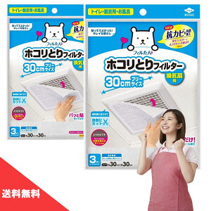 (  ) mA~ pbƓ\邾 zRƂtB^[ Cp 30cm X 30cm 3 y 2 Zbg z\邾 C gC Eߏ C tB^[ zRƂ