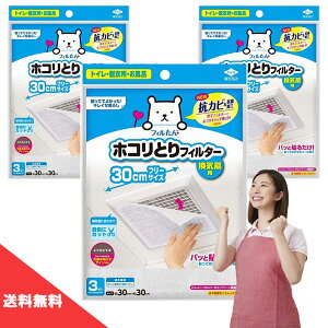 (  ) mA~ pbƓ\邾 zRƂtB^[ Cp 30cm X 30cm 3 y 3 Zbg z\邾 C gC Eߏ C tB^[ zRƂ