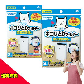 【 送料無料 】 東洋アルミ ホコリとりフィルター 空気清浄機用 2枚入 38cm×55cm 【2個セット】 空気清浄機 フィルター 梅雨 カビ 花粉 ウィルス 細菌 アレルギー