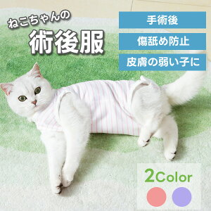 L pEFA p㕞  X IX ₷ rߖh~ EȂ }WbNe[v L̕