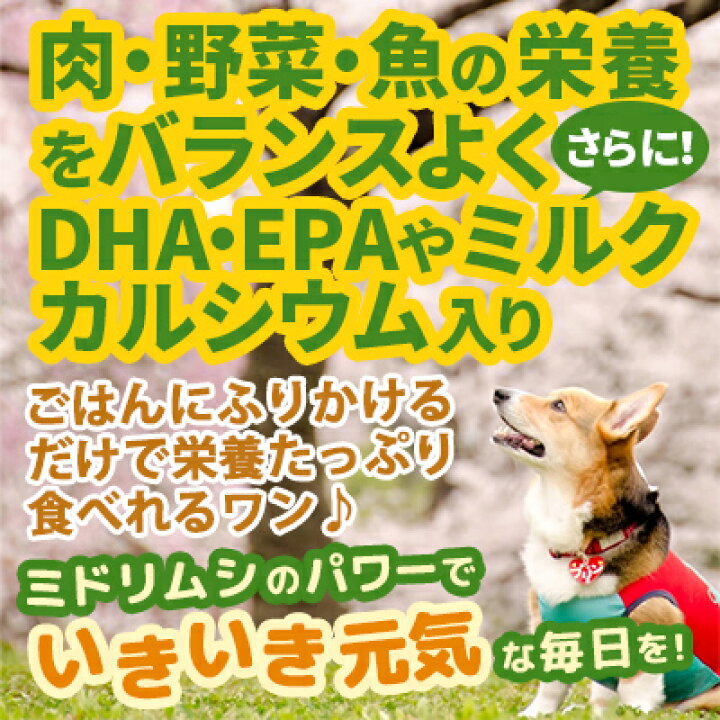 楽天市場 バイオザイムワン 犬 猫 サプリメント ミドリムシ ユーグレナ お得な3袋セット 送料無料 ユーグレナ 洗剤 Lifedirect