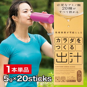 飲む出汁で健康新習慣 カラダをつくる出汁 1本単品(1本5g入×20スティック) カラダに必要なアミノ酸20種がすべて摂れる 完全無添加 かつお いわし 無臭にんにく こんぶ