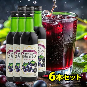 yJVX 6{Zbg 340ml ݂₷Ă Y VRy |tFm[ [ Ă񂳂 yHi ڂ̌Nɖ𗧂AgVAjLx 