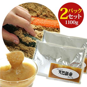 ʂNpbN 2pbN 1100g ʂЂ/y/VRy/_/r^~/_CGbg/ȒP//LȂ